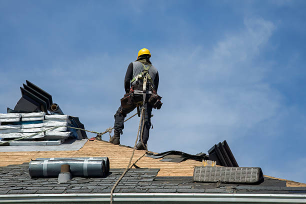 Professional Metal Roofing technician working in Moville, IA
